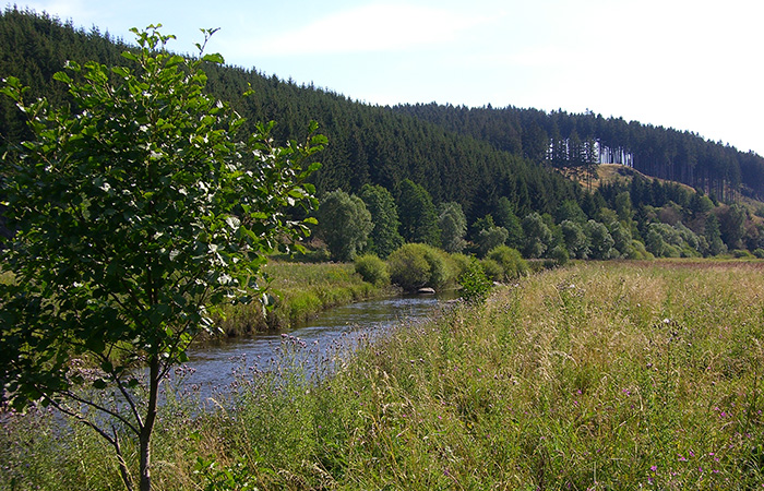 Freizeit & Umgebung koenigshuette Harz